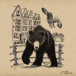 Bear & Owl Drawing Gathering in Amsterdam